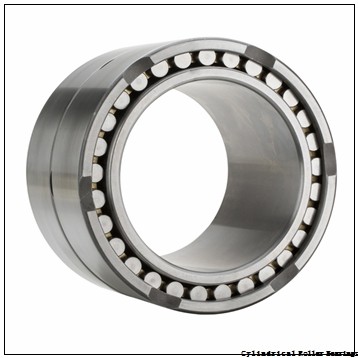 2.362 Inch | 60 Millimeter x 5.118 Inch | 130 Millimeter x 1.22 Inch | 31 Millimeter  CONSOLIDATED BEARING NJ-312 W/23  Cylindrical Roller Bearings