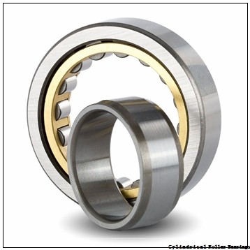 2.953 Inch | 75 Millimeter x 6.299 Inch | 160 Millimeter x 2.165 Inch | 55 Millimeter  CONSOLIDATED BEARING NUP-2315E M C/4  Cylindrical Roller Bearings