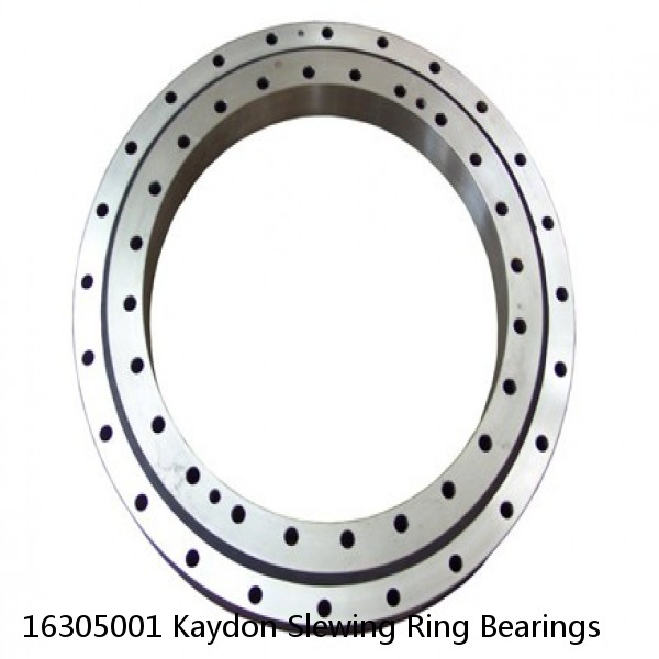 16305001 Kaydon Slewing Ring Bearings