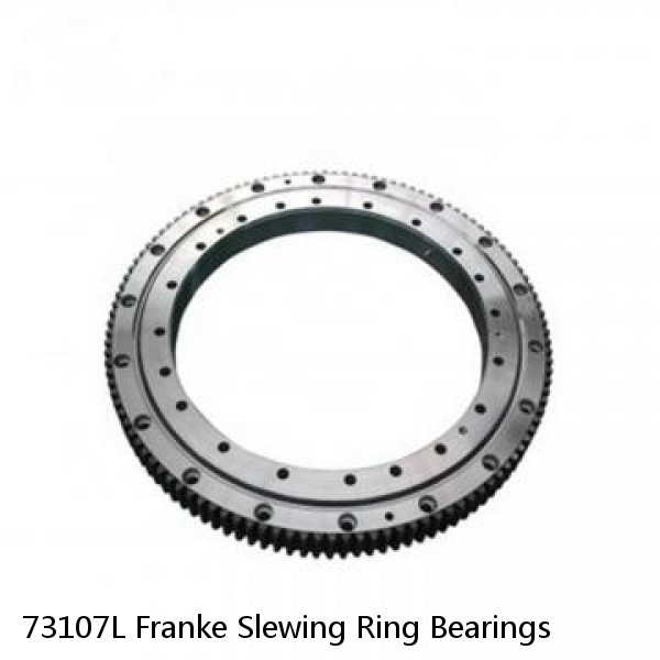 73107L Franke Slewing Ring Bearings