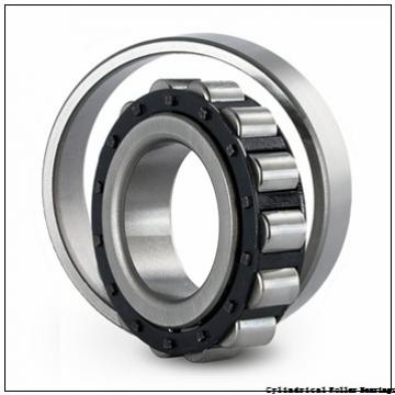 0.787 Inch | 20 Millimeter x 2.047 Inch | 52 Millimeter x 0.591 Inch | 15 Millimeter  CONSOLIDATED BEARING NJ-304E M  Cylindrical Roller Bearings