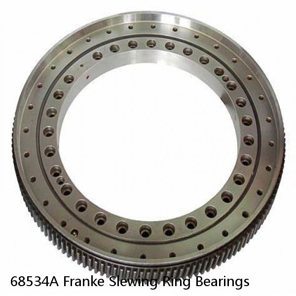 68534A Franke Slewing Ring Bearings #1 small image