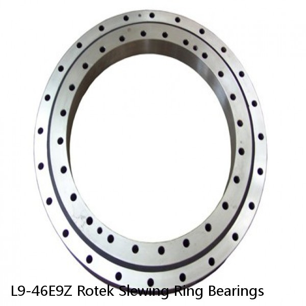 L9-46E9Z Rotek Slewing Ring Bearings #1 small image