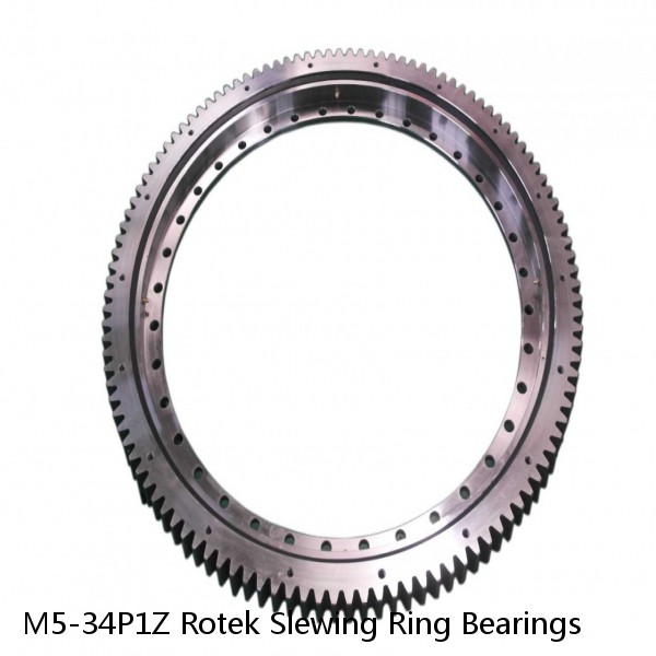 M5-34P1Z Rotek Slewing Ring Bearings #1 small image