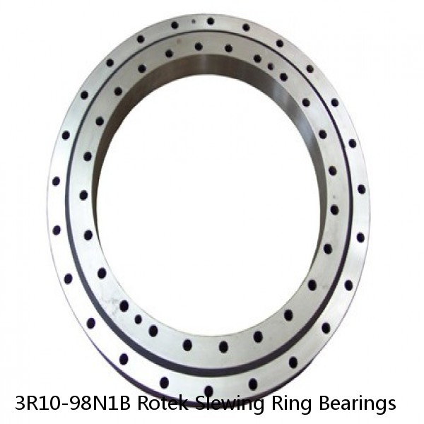 3R10-98N1B Rotek Slewing Ring Bearings #1 small image