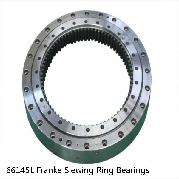 66145L Franke Slewing Ring Bearings #1 small image