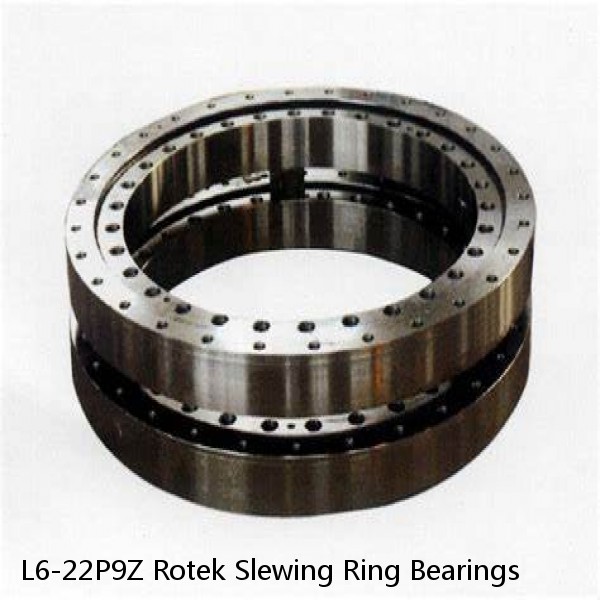 L6-22P9Z Rotek Slewing Ring Bearings #1 image