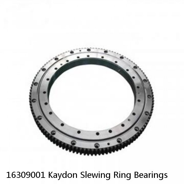 16309001 Kaydon Slewing Ring Bearings #1 image
