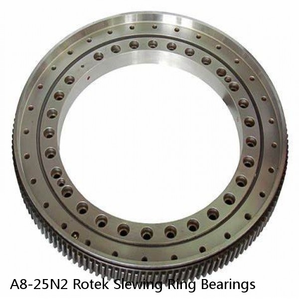 A8-25N2 Rotek Slewing Ring Bearings #1 image