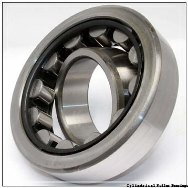 0.669 Inch | 17 Millimeter x 1.85 Inch | 47 Millimeter x 0.551 Inch | 14 Millimeter  CONSOLIDATED BEARING NJ-303E  Cylindrical Roller Bearings #1 image