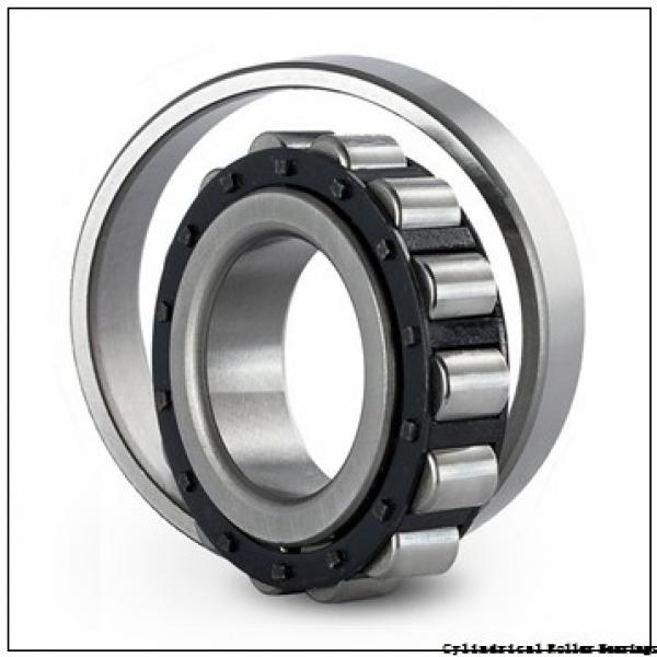 0.669 Inch | 17 Millimeter x 1.85 Inch | 47 Millimeter x 0.551 Inch | 14 Millimeter  CONSOLIDATED BEARING NJ-303  Cylindrical Roller Bearings #1 image
